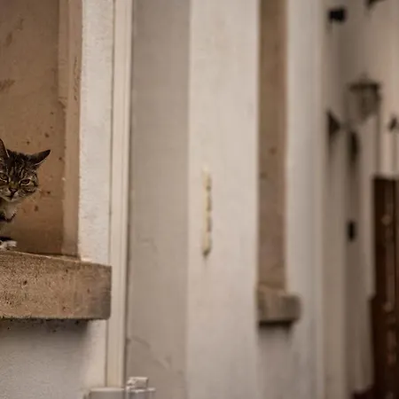 Apartment 55m² 2 Zimmer-monteurswohnung Mit 4 Einzelnen Betten