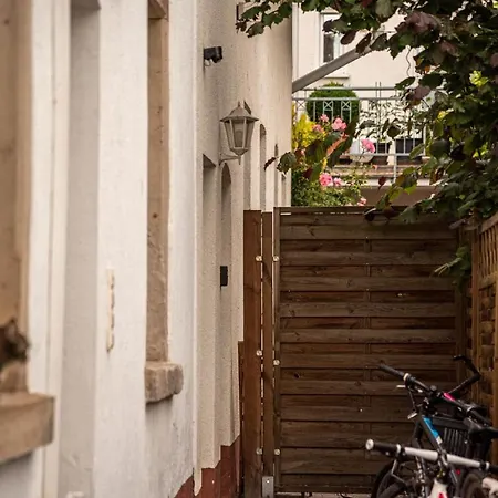 Apartment 55m² 2 Zimmer-monteurswohnung Mit 4 Einzelnen Betten Nieder-Saulheim